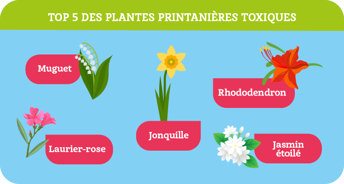 5 plantes toxiques