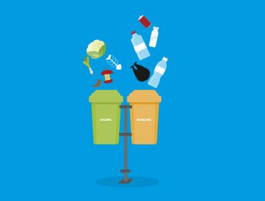 Déchets triés