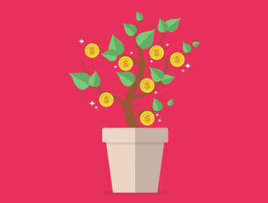 Plante avec des pièces