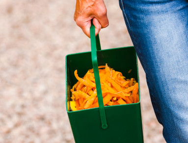 Récupérer les épluchures des fruits et légumes pour en faire du compost
