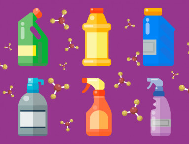 Perturbateurs endocriniens