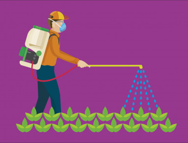 Les pesticides en France