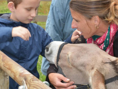 Zoothérapie : quand l’animal devient un médiateur.