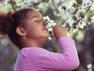 Écologie : comment apprendre à vos enfants à devenir des écolos en herbe ?