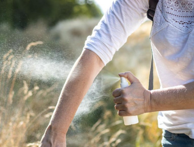 Vous avez été piqué(e) par une tique ou un taon lors d’une balade dans la nature ? Ayez le bon réflexe !