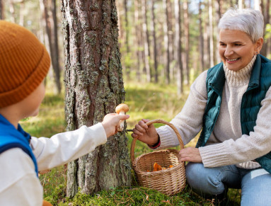 Une grand-mère et son petit-fils cueillent des champignons en forêt.