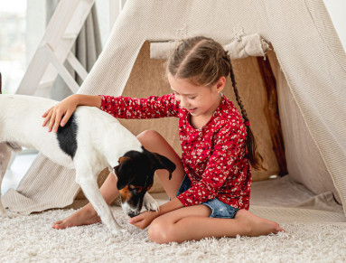 Enfants : comment les protéger des accidents liés aux animaux de compagnie ?