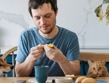Un homme prend son petit-déjeuner entouré de son chien et de son chat.