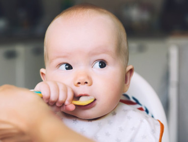 alimentation bébé