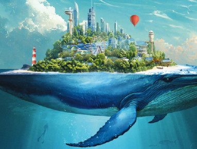 baleine futur