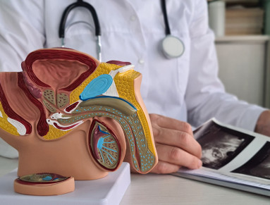 cancer testicule