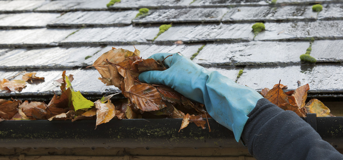 Une main nettoie les feuilles mortes d'une gouttière