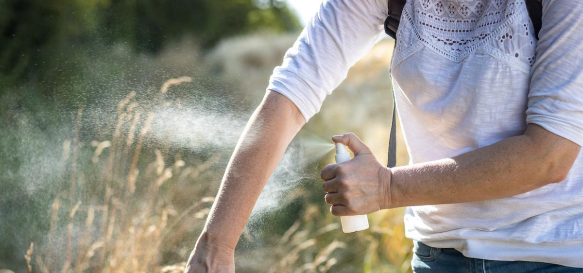 Vous avez été piqué(e) par une tique ou un taon lors d’une balade dans la nature ? Ayez le bon réflexe !