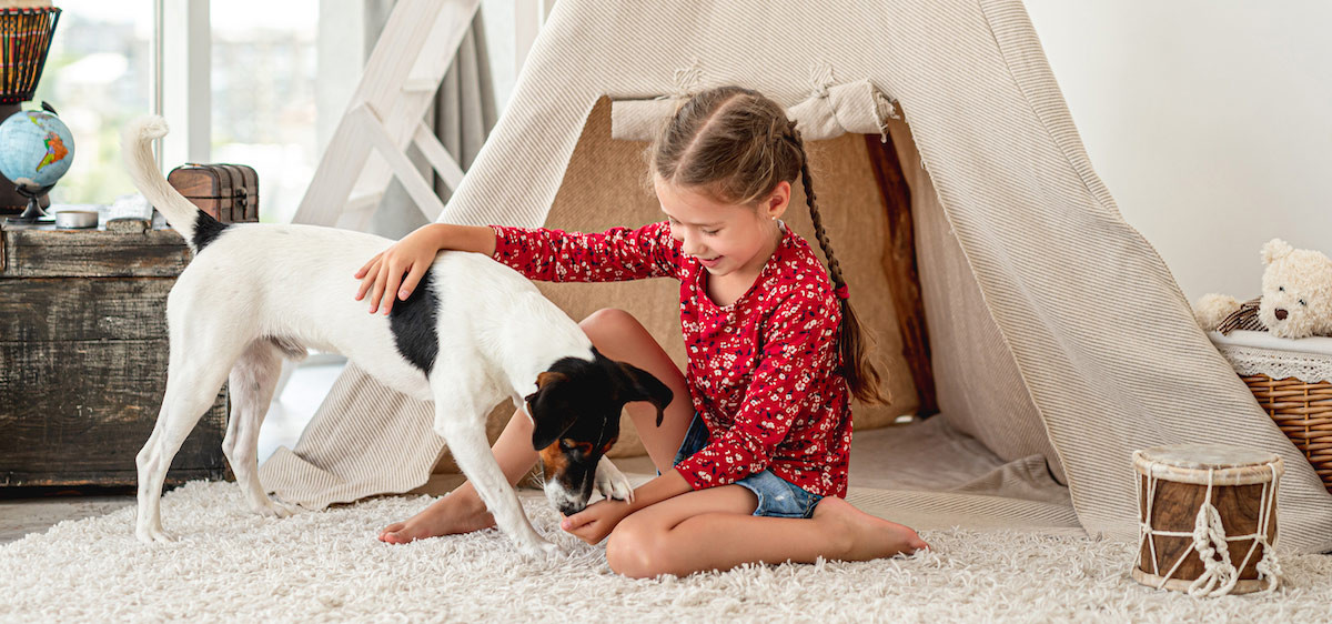 Enfants : comment les protéger des accidents liés aux animaux de compagnie ?
