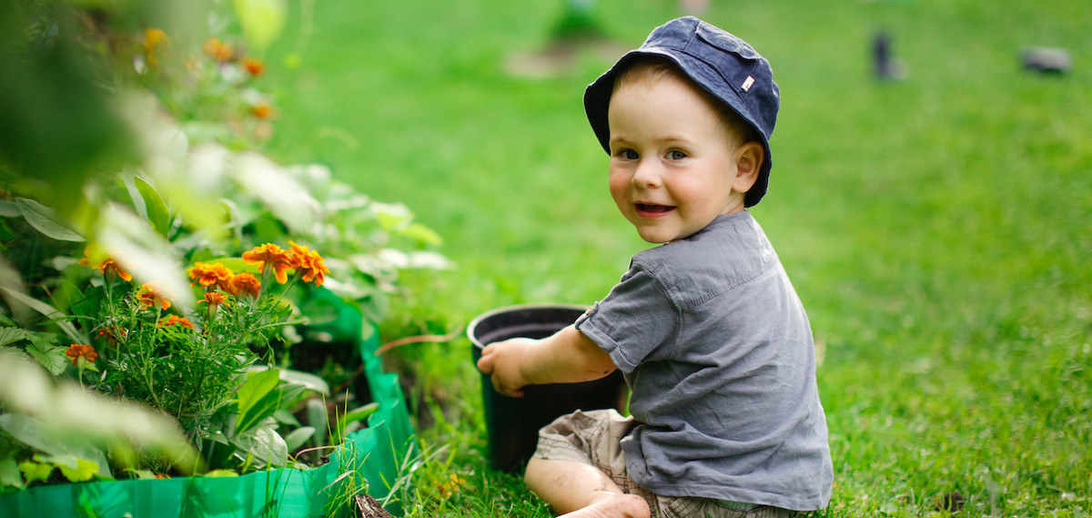 Muguet et plantes toxiques au printemps : attention au risque d’ingestion !