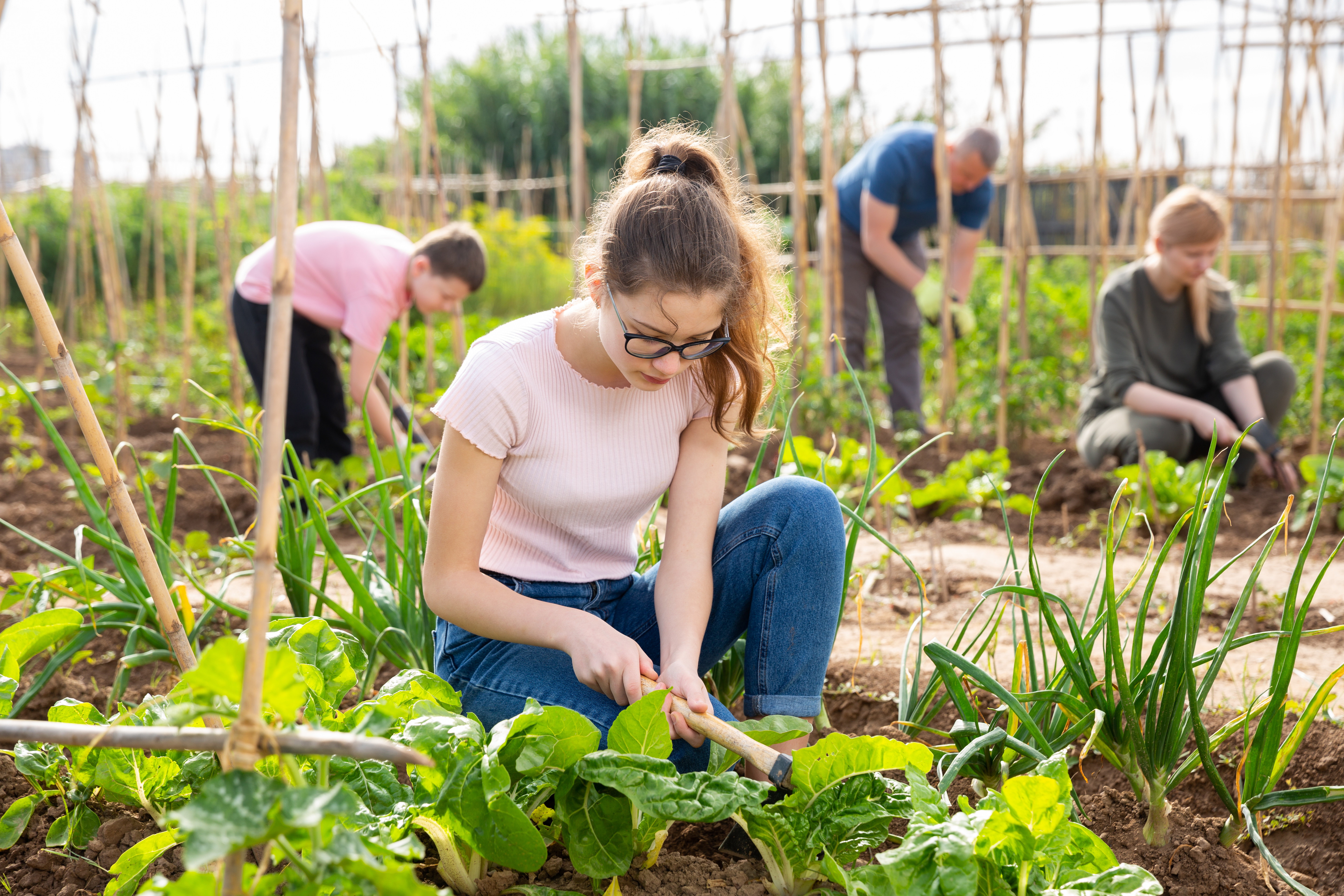 Le volontariat rural pour les jeunes